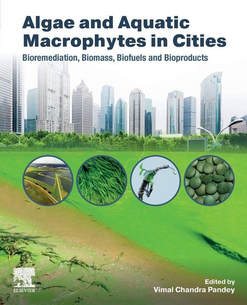 Produktbild: Algae and Aquatic Macrophytes in Cities