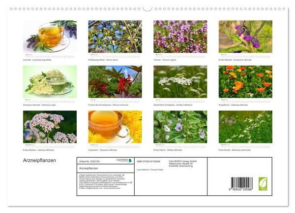 Produktbild: Arzneipflanzen (hochwertiger Premium Wandkalender 2026 DIN A2 quer), Kunstdruck in Hochglanz