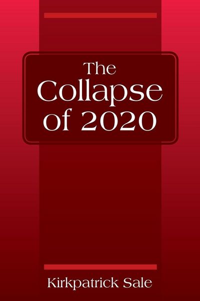 Produktbild: The Collapse of 2020