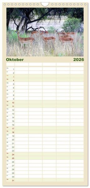 Produktbild: Familienplaner 2026 - Roadtrip in Namibia mit 5 Spalten (Wandkalender, 21 x 45 cm) CALVENDO