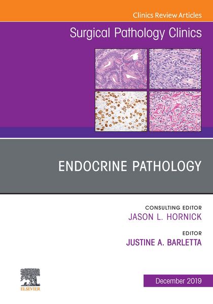 Produktbild: Endocrine Pathology, An Issue of Surgical Pathology Clinics