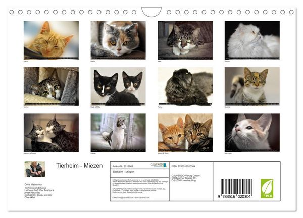 Produktbild: Tierheim - Miezen (Wandkalender 2026 DIN A4 quer), CALVENDO Monatskalender