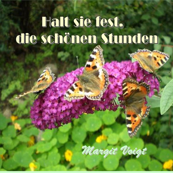 Halt sie fest, die schönen Stunden, Taschenbuch von Margit Voigt, BoD – Books on Demand, 9783746096926