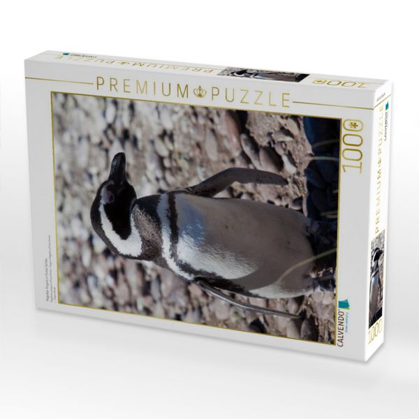 Produktbild: CALVENDO Puzzle Magellan Pinguin in Punta Tombo | 1000 Teile Lege-Gr&ouml;&szlig;e 64x48cm Foto-Puzzle f&uuml;r gl&uuml;ckliche Stunden