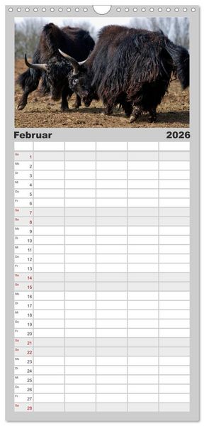 Produktbild: Familienplaner 2026 - Kuh und Co. mit 5 Spalten (Wandkalender, 21 x 45 cm) CALVENDO