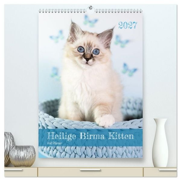Produktbild: Heilige Birma Kitten Kalender mit Planer (hochwertiger Premium Wandkalender 2027 DIN A2 hoch), Kunstdruck in Hochglanz