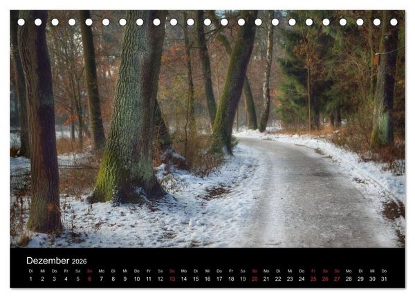Produktbild: Waldkalender (Tischkalender 2026 DIN A5 quer), CALVENDO Monatskalender