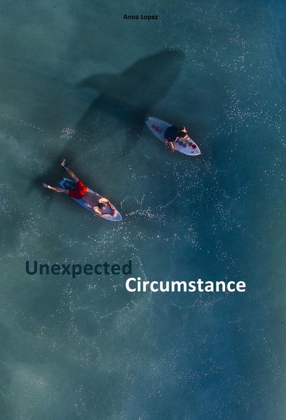 Produktbild: Unexpected Circumstance