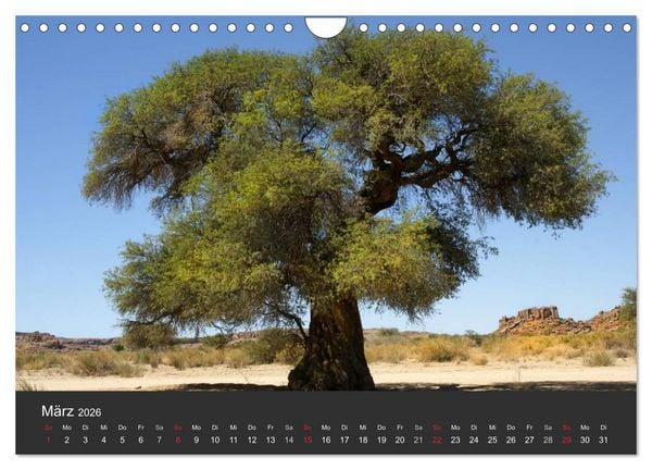 Produktbild: Alte B&auml;ume Alte Veteranen (Wandkalender 2026 DIN A4 quer), CALVENDO Monatskalender