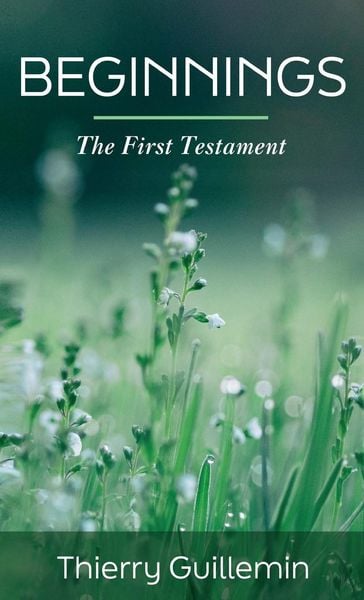 Produktbild: Beginnings
