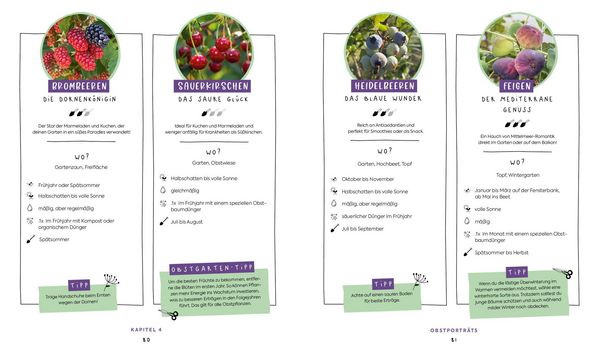 Produktbild: In Null Komma Gr&uuml;n &ndash;&nbsp;Einfach g&auml;rtnern mit Raphy von gruenesparadies