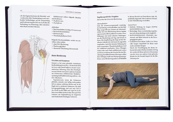 Yoga-Therapie in der Praxis