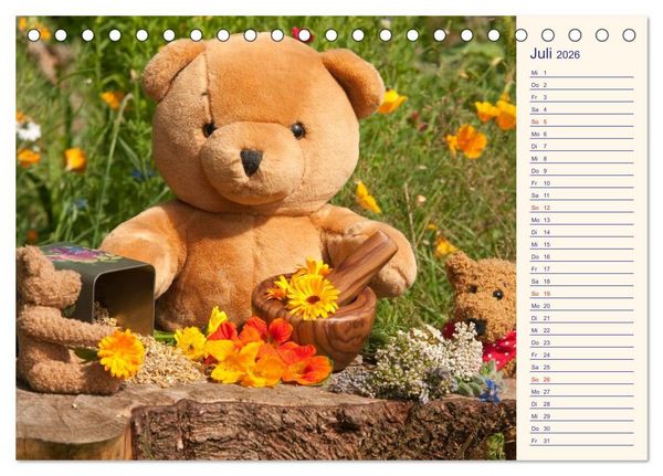 Produktbild: Geliebte B&auml;ren - Teddys (Tischkalender 2026 DIN A5 quer), CALVENDO Monatskalender