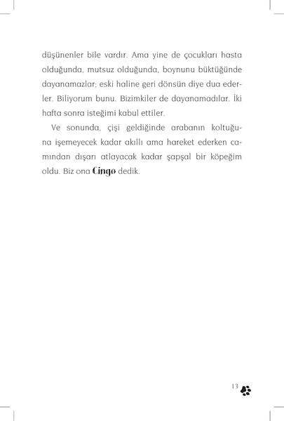 Produktbild: Cingo