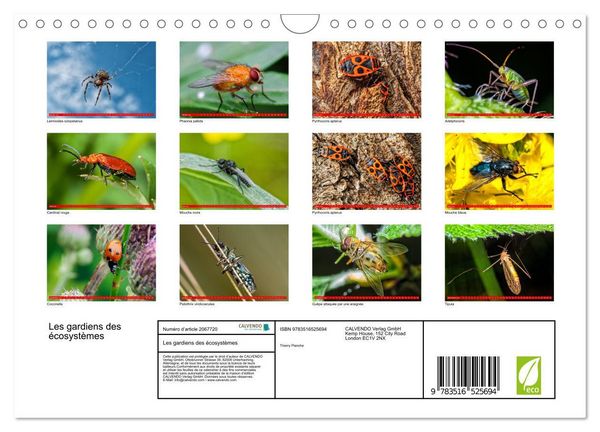 Produktbild: Les gardiens des &eacute;cosyst&egrave;mes (Calendrier mural 2026 DIN A4 vertical), CALVENDO calendrier mensuel