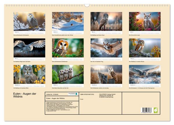 Produktbild: Eulen - Augen der Wildnis (Wandkalender 2026 DIN A2 quer), CALVENDO Monatskalender