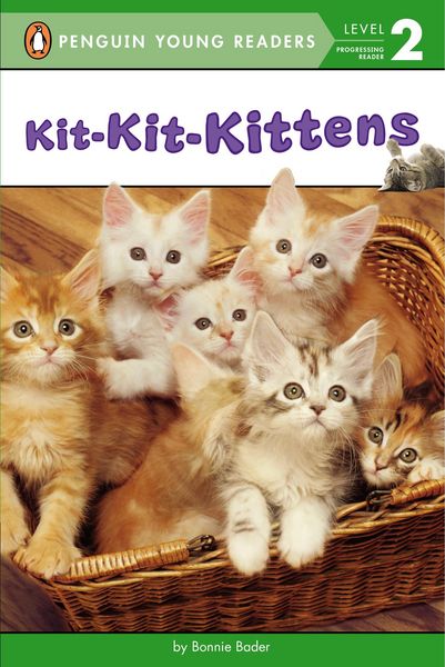 Produktbild: Kit-Kit-Kittens