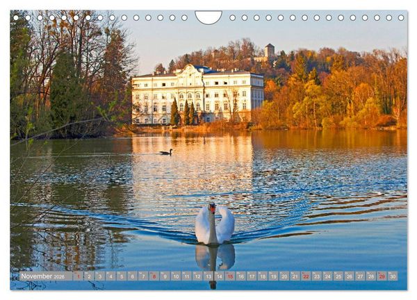 Produktbild: Der Schwanentanz (Wandkalender 2026 DIN A4 quer), CALVENDO Monatskalender