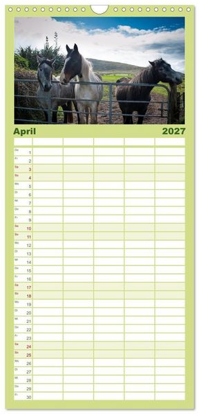 Produktbild: Familienplaner 2027 - Irland. Wild Atlantic Views. mit 5 Spalten (Wandkalender, 21 x 45 cm) CALVENDO