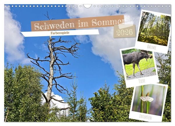 Produktbild: Schweden im Sommer (Wandkalender 2026 DIN A3 quer), CALVENDO Monatskalender