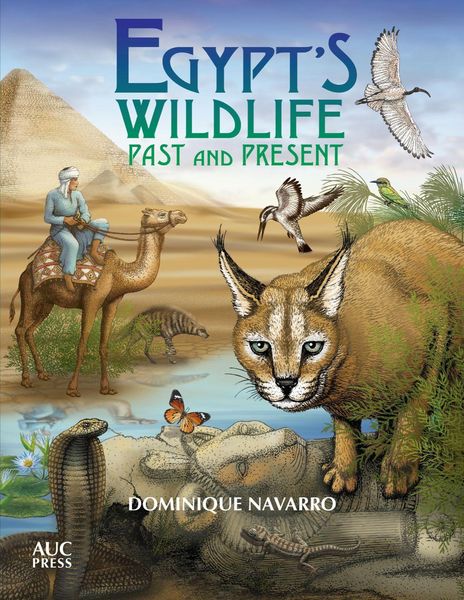 Produktbild: Egypt's Wildlife