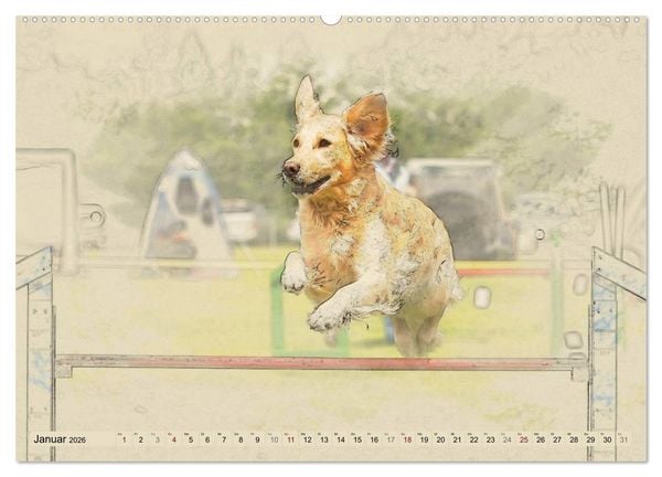 Produktbild: Golden Retriever 2026 (hochwertiger Premium Wandkalender 2026 DIN A2 quer), Kunstdruck in Hochglanz