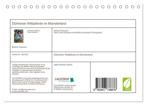 Produktbild: D&uuml;lmener Wildpferde im M&uuml;nsterland (Tischkalender 2026 DIN A5 quer), CALVENDO Monatskalender