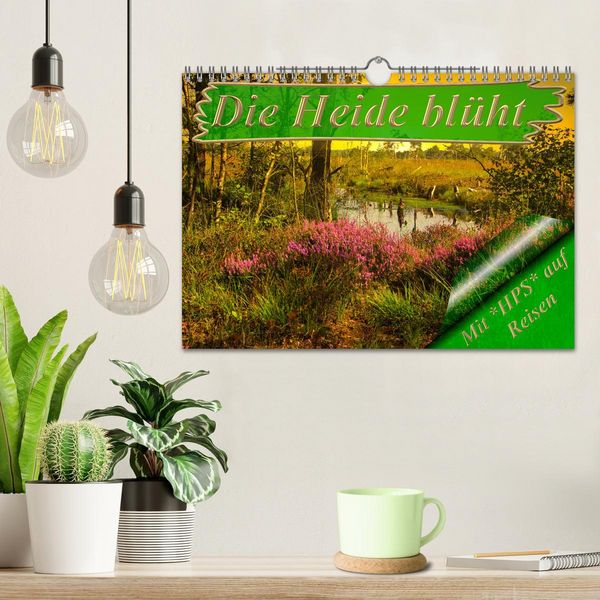 Produktbild: Die Heide bl&uuml;ht (Wandkalender 2026 DIN A4 quer), CALVENDO Monatskalender