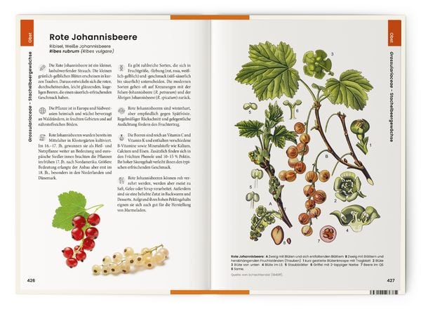 Produktbild: Was wir essen