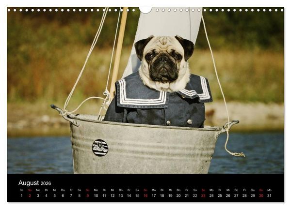 Produktbild: Der MOPS-Kalender (Wandkalender 2026 DIN A3 quer), CALVENDO Monatskalender