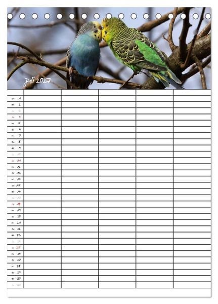 Produktbild: Wellensittiche (Tischkalender 2027 DIN A5 hoch), CALVENDO Monatskalender
