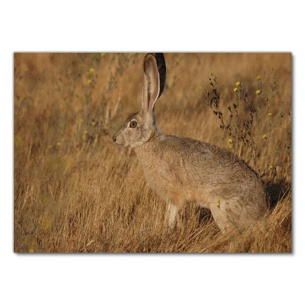 Produktbild: Lais Puzzle Hase 1000 Teile