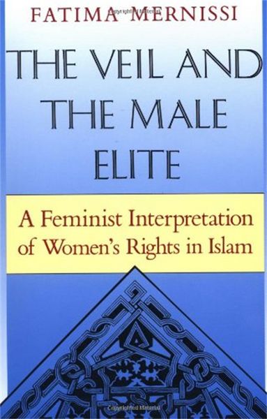 Produktbild: The Veil and the Male Elite