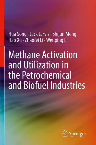 Produktbild: Methane Activation and Utilization in the Petrochemical and Biofuel Industries