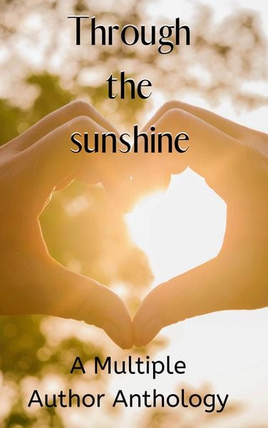 Produktbild: Through the Sunshine