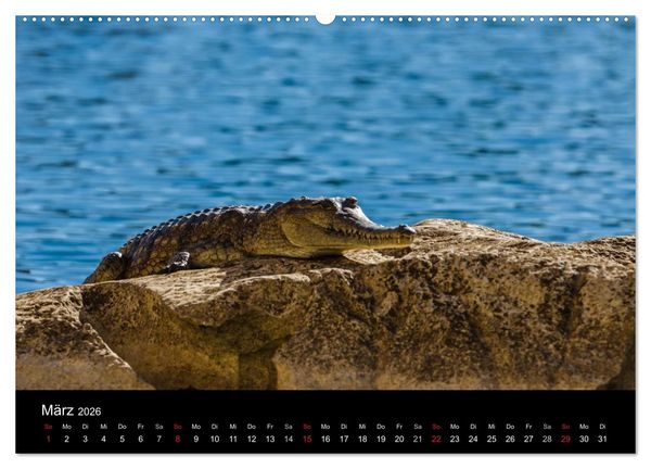 Produktbild: Australien - Kimberley (hochwertiger Premium Wandkalender 2026 DIN A2 quer), Kunstdruck in Hochglanz