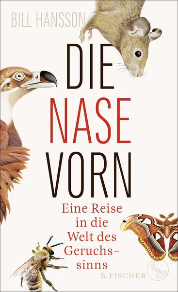 Produktbild: Die Nase vorn