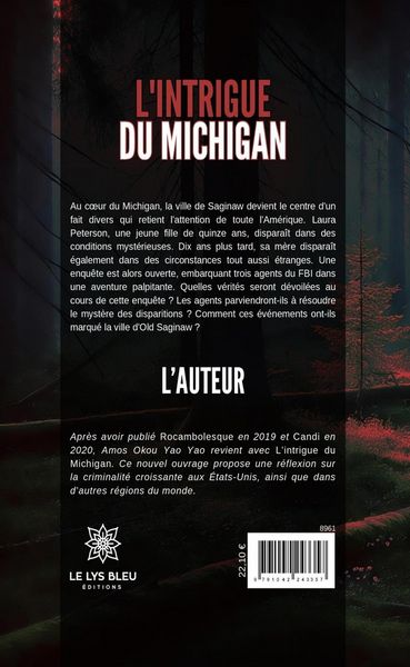 Produktbild: L'intrigue du Michigan