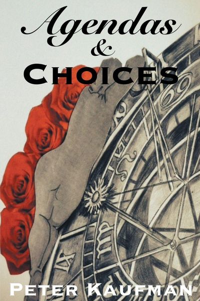 Produktbild: Agendas and Choices