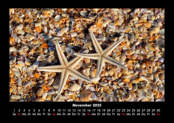 Produktbild: Sehnsucht nach Meer 2025 Fotokalender DIN A3