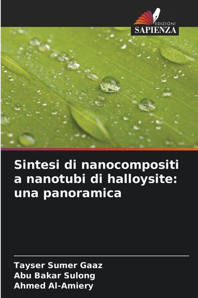 Produktbild: Sintesi di nanocompositi a nanotubi di halloysite: una panoramica