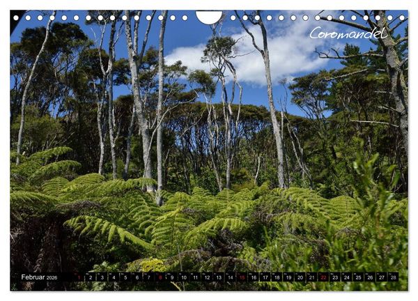 Produktbild: Neuseeland (Wandkalender 2026 DIN A4 quer), CALVENDO Monatskalender