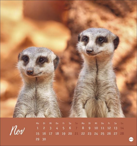 Produktbild: Erdm&auml;nnchen Postkartenkalender 2027