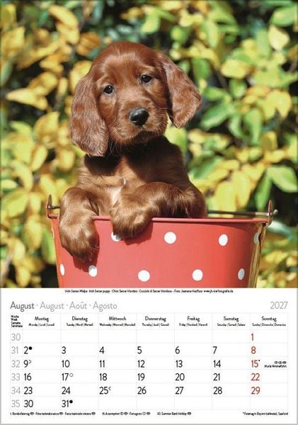 Produktbild: Hunde 2027