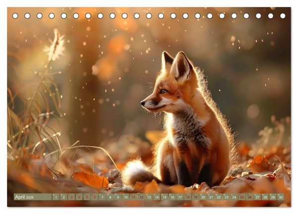 Produktbild: Die wilden Hunde (Tischkalender 2026 DIN A5 quer), CALVENDO Monatskalender