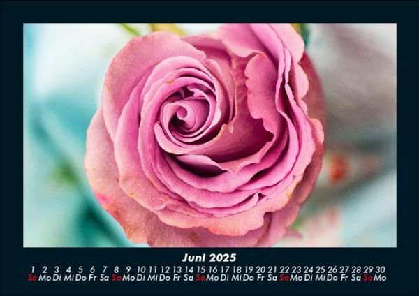 Produktbild: Rosen-Kalender 2025 Fotokalender DIN A5
