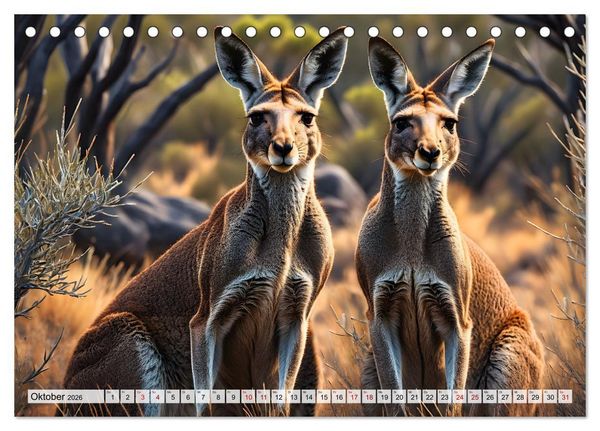 Produktbild: Die Welt der K&auml;ngurus (Tischkalender 2026 DIN A5 quer), CALVENDO Monatskalender