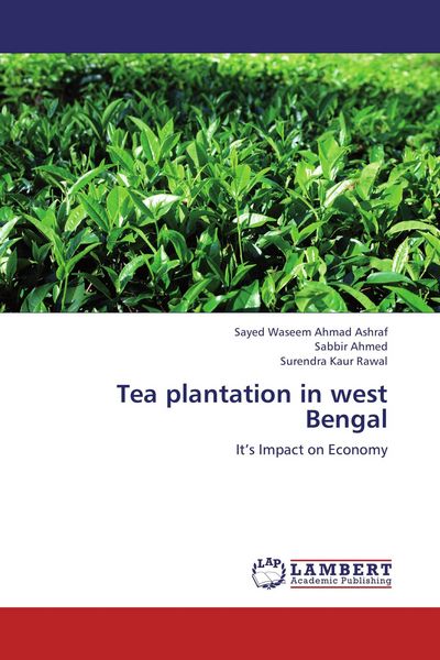 Produktbild: Tea plantation in west Bengal