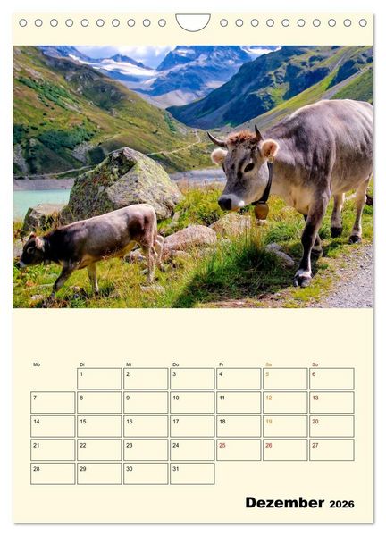 Produktbild: Gl&uuml;ckliche Bergk&uuml;he (Wandkalender 2026 DIN A4 hoch), CALVENDO Monatskalender