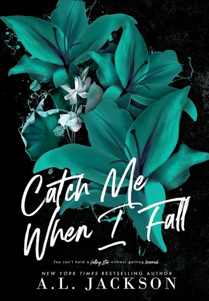 Produktbild: Catch Me When I Fall (Hardcover)
